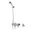 Wall Mounted Hand Spray with Hose