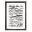 Study of Reptiles by Oliver Goldsmith - Framed Print-55727480-55727481