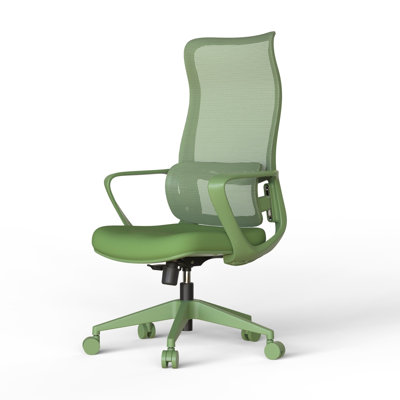 Ergonomic High-Back Mesh Office Chair with Adjustable Lumbar Support, 360 Degrees Swivel