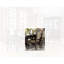 Chaise d'appoint Dawnna (ensemble de 2)