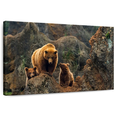Brampt Bear And Cubs