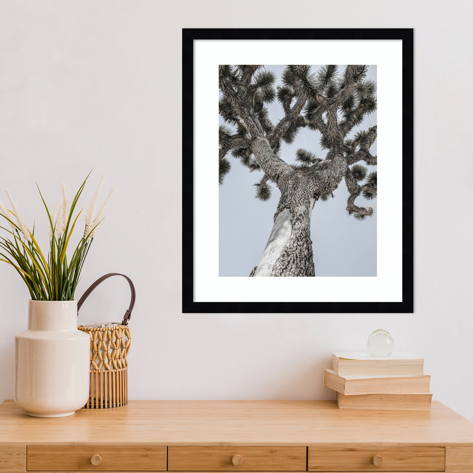 Daisey "Joshua" Print by Shot by Clint, 21" H x 17" W, Black 