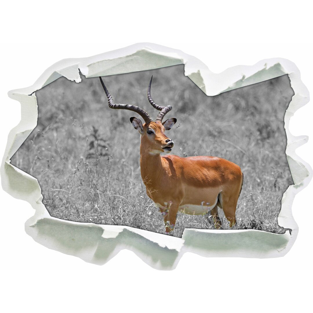 Anmutige Dorcas Gazelle im wilden Gras Wandsticker