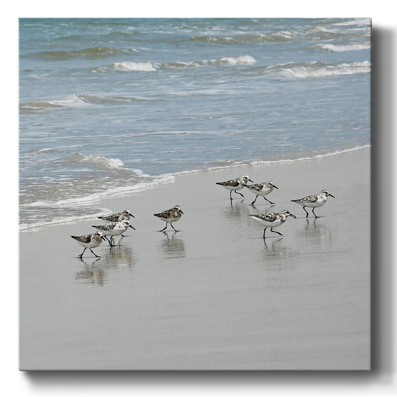 " Sandpiper Shore II ", 32" H x 32" W x 1.5" D