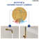 Tub Faucet with Rough-in Valve,Wall Mounted Tub Spout with Handheld Shower