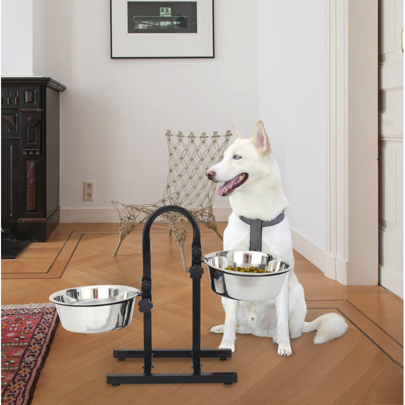 Diner pour animaux Dinahlee, 64 oz / 8 tasses