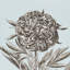Cabot Botanical Fabric-49396795