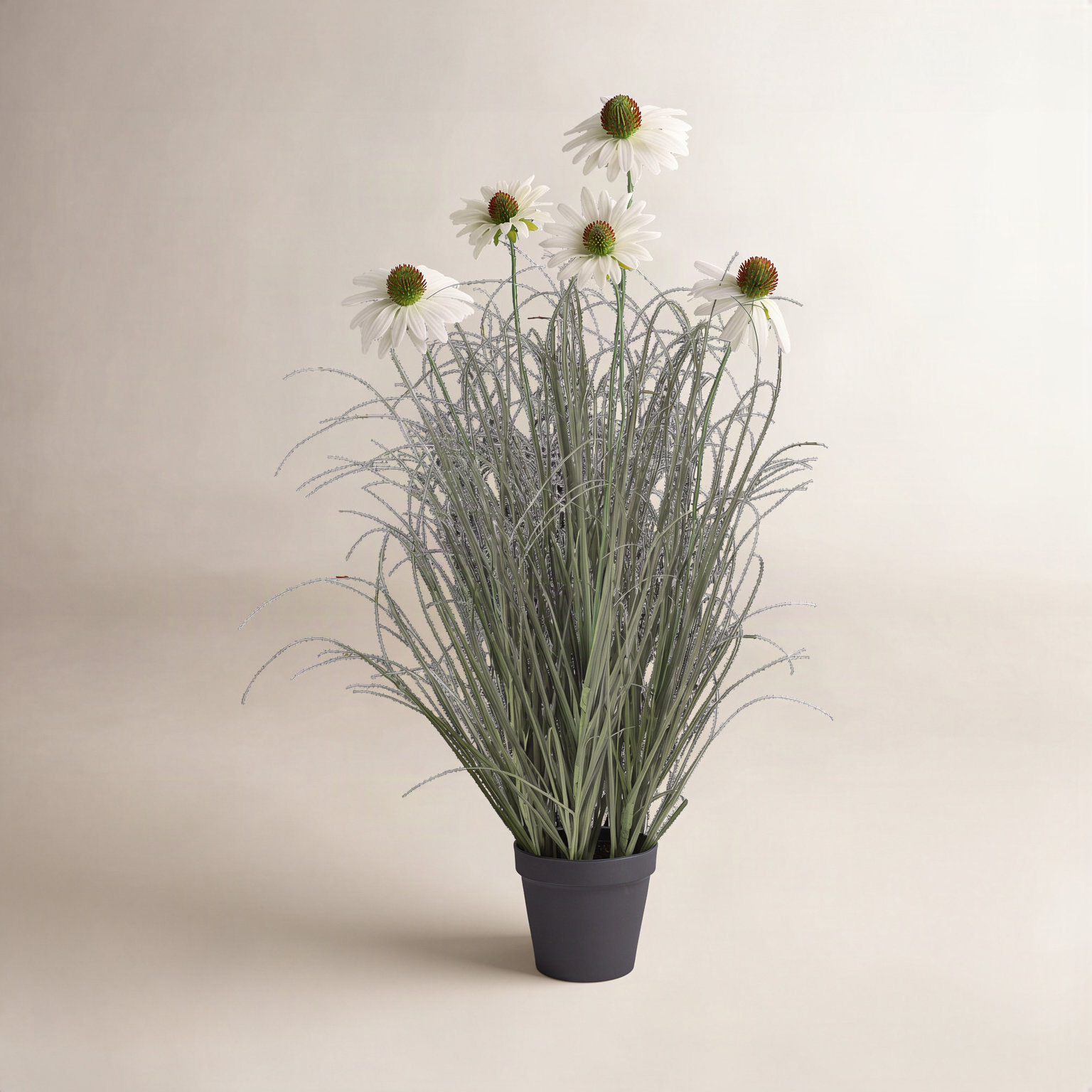 Adcock Onion Grass in Pot, 24" H x 12" W