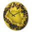 Horloge murale Kiwi Seeds and intérieur-63617848