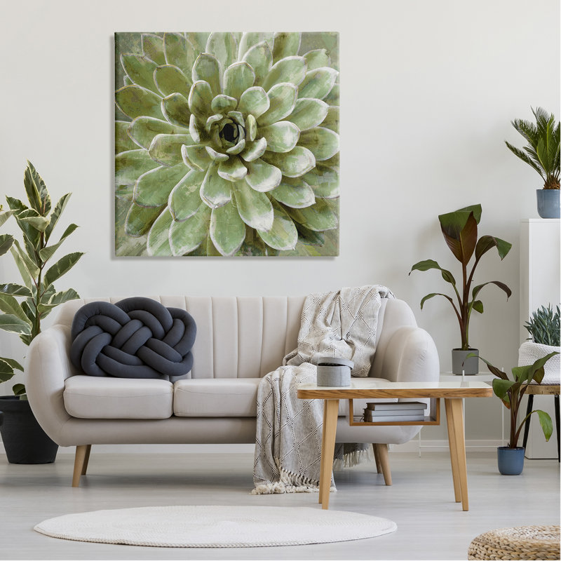 Au-738-Toile plante grasse, vue abstraite sur toile par Lindsay Benson, peinture, H 36 po x l 36 po x P 1,5 po