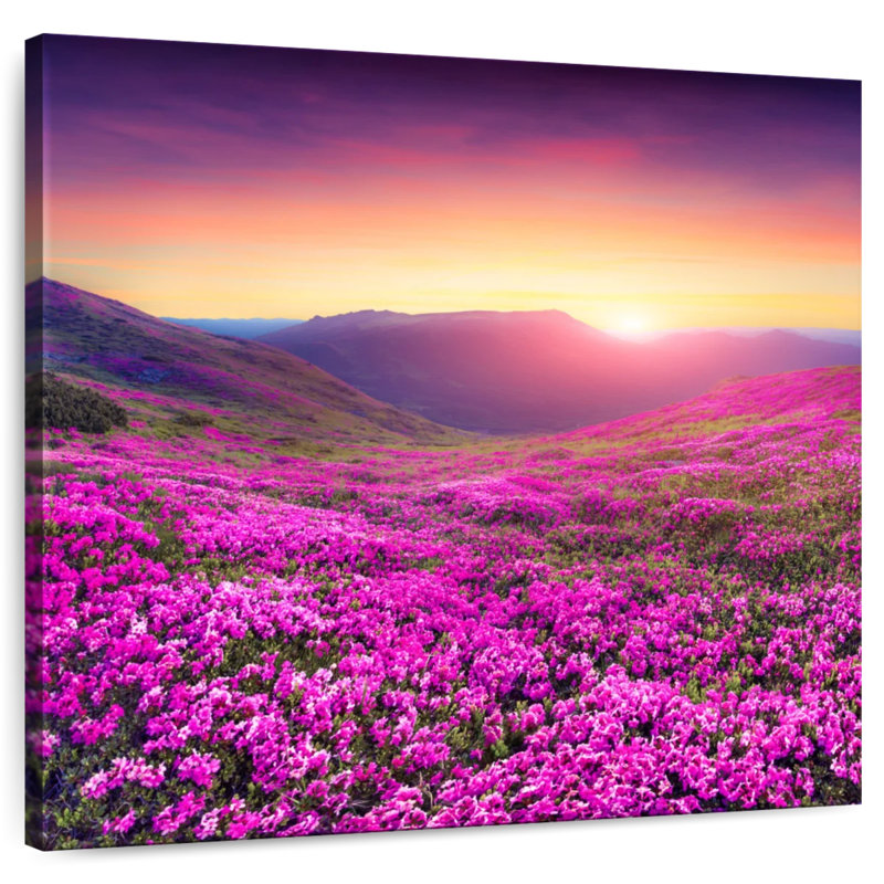 Alvord Rhododendron Flower Field, 10" H x 10" W
