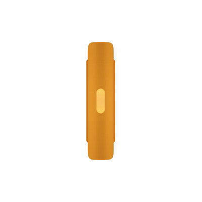 Lupe  Flush Mounted Sconce