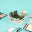 Panier en plastique Starplast