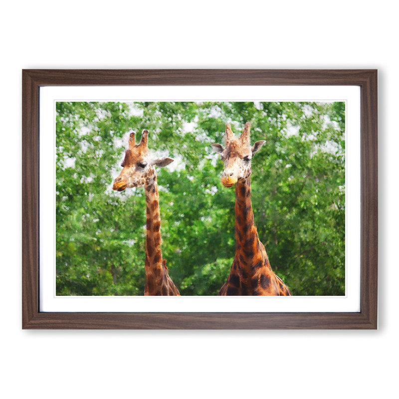 Two Giraffes Vol.2 - Framed Print, Walnut Framed, 27cm H x 36cm W x 2cm D