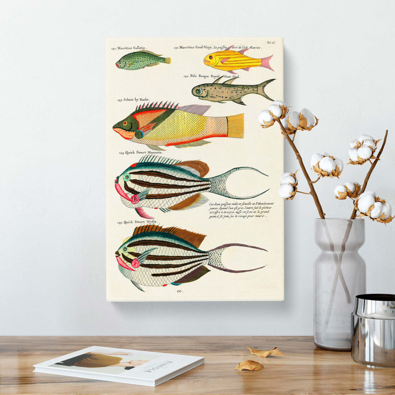 East Indies Fish Illustrations Fol. 26 by Pierre-Joseph Redoute - Wrapped Canvas, 60cm H x 40cm W x 3cm D