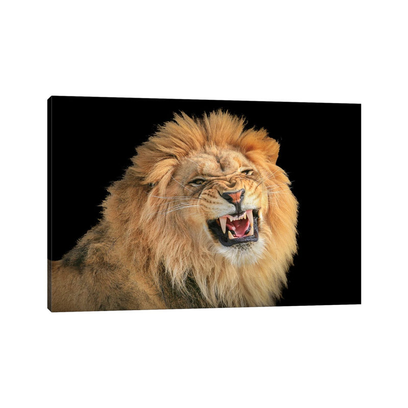 The King - A Portrait by Jeffrey C. Sink - Wrapped Canvas Print, 66.04 cm H x 45.72 cm W x 1.91 cm D