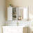 Wall Mount Bathroom Storage Cabinet Mirror Cabinet