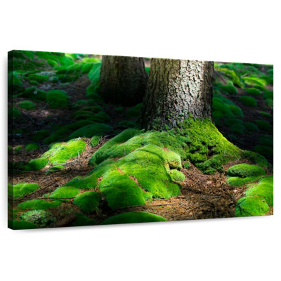Harnek Forest Moss