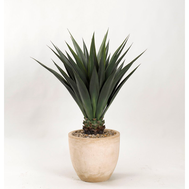 48" Faux Agave Plant in Resin Planter
