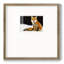 Foxpremium, reproduction encadrée-88074242