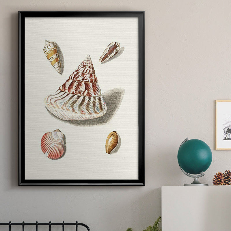 Pastel Knorr Shells VII, reproduction encadrée de qualité supérieure - prête à être accrochée, H 36,5 po x l 26,5 po x P 1 po