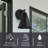 Jabreya Steel Outdoor Armed Sconce