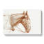 Head of a Horse by Jean Bernard - Wrapped Canvas-55360623