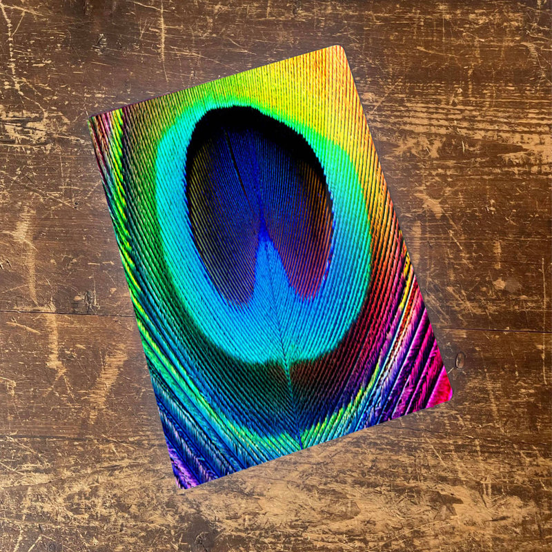 Peacock Feather Bright Bird Metal Wall Décor, 80cm H x 60cm W