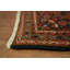 Tapis traditionnel élégant 5 x 8