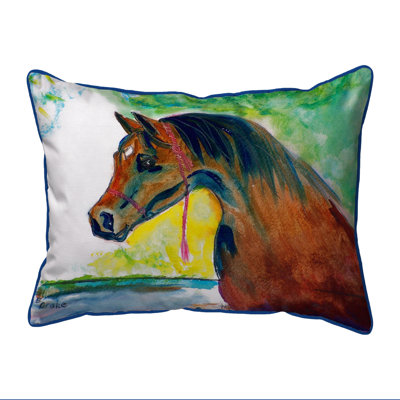 Outdoor Throw Pillow