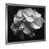 Silver Picture Framed is unavailable