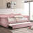 Rose est en rupture de stock