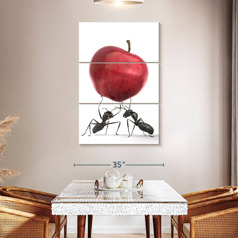 Fourmis noires Brampt avec pomme