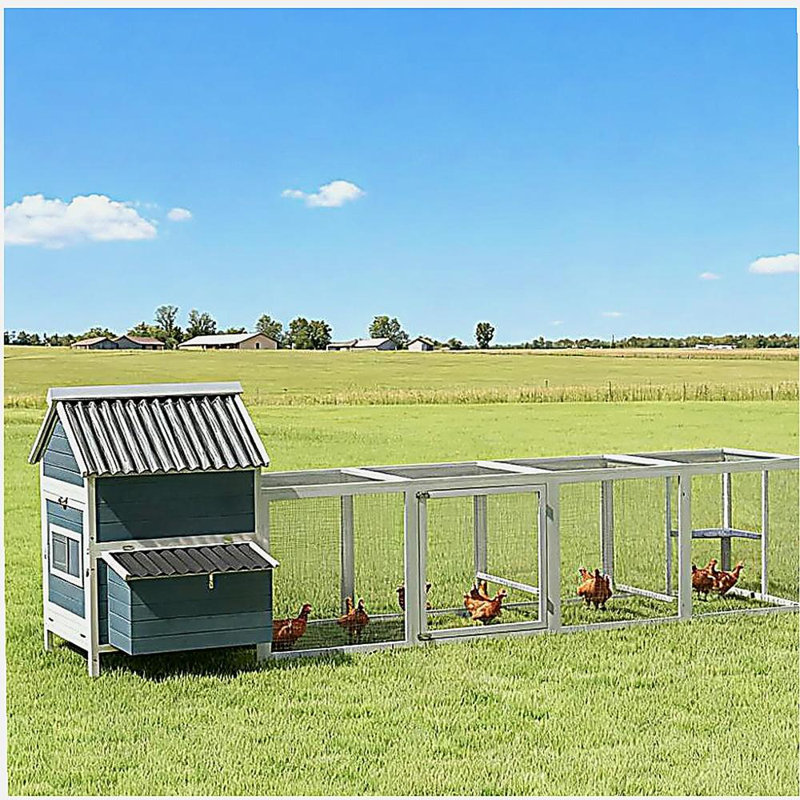 Poulailler pour 10 à 15 poulets