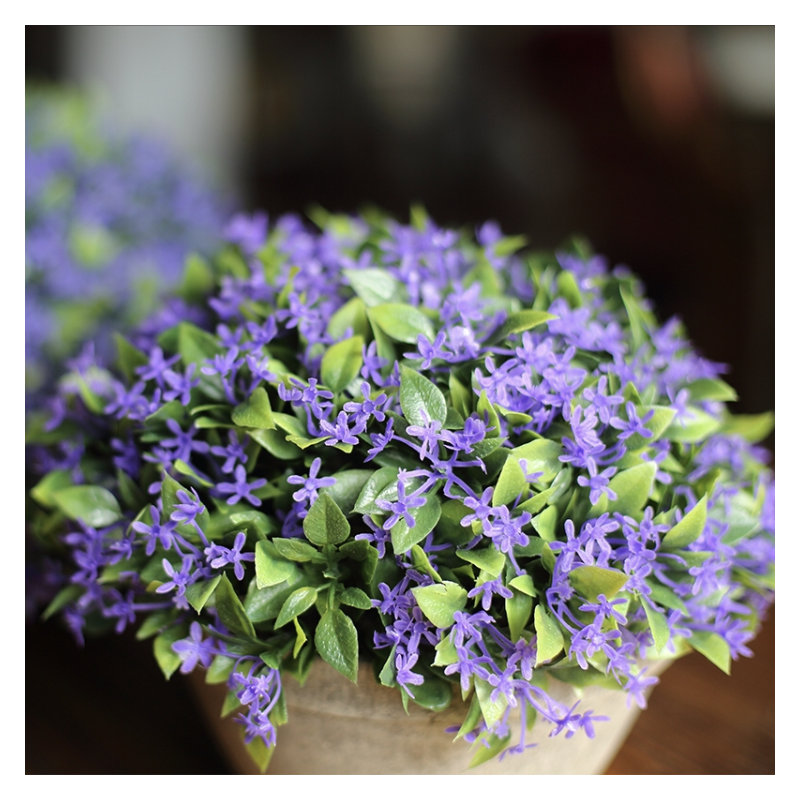 Topiaire buis rustique en pot, Petit