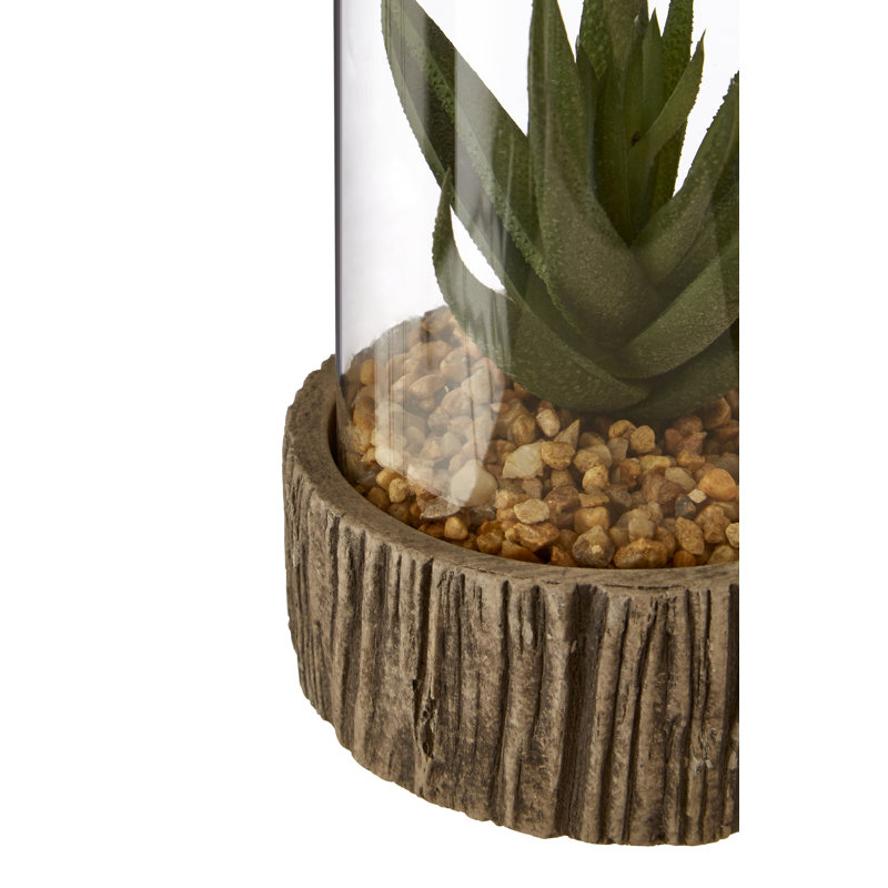 Sprague Succulent in Stone Jar, 17cm H x 10cm W x 10cm D, Brown