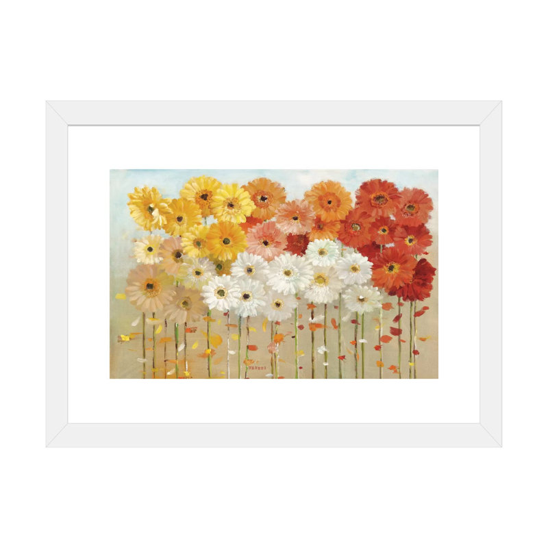 «Daisies Spring» par Danhui Nai - reproduction d'art, H 16 po x l 24 po x P 1 po, Papier encadré blanc