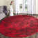 Olius Performance Oriental Rug