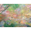 Autumn Maples Design Print by Bruce Heinemann-65852339-65826493