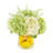 Hydrangeas Arranged in Glass Vase with Lemons