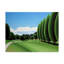 «Poplars» par Etelca, impression sur toile tendue-27643362