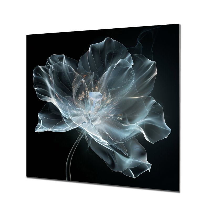 Anémone blanche transparente sur fond noir - autres plantes et fleurs, Métal métal, H 16 po x l 16 po x P 1 po