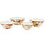 Wild Rose White Small Everyday Bowl-15440103