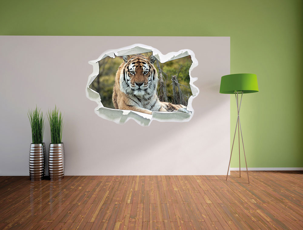 Schöner Tiger auf einer Wiese Wandsticker