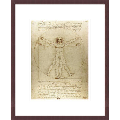 Vitruvian Man (Canon of Proportions) by Leonardo da Vinci  -Framed Giclee Print