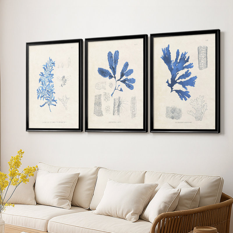 Blue Marine Algae VI - Toile tendue avec châssis sur mesure - 3 pièces, Noir, H 21 po x l 30 po
