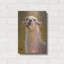 "Candido" par Rita Kirkman-1814509426