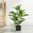 Soren Realistic Faux Rubber Tree Plant with Black Nursery Pot-2018340851