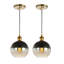 Shidler 7.5" 1-Light Mid-Century Modern Metal/Glass Adjustable Drop Globe LED Pendants