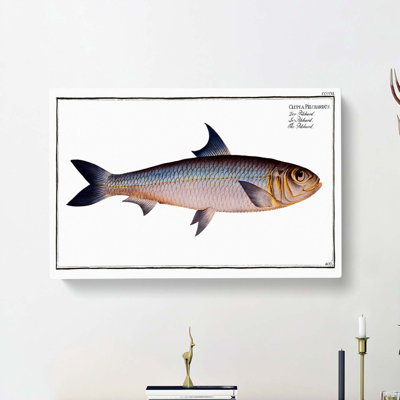 Pilchard Fish by M.E. Bloch - Wrapped Canvas Painting